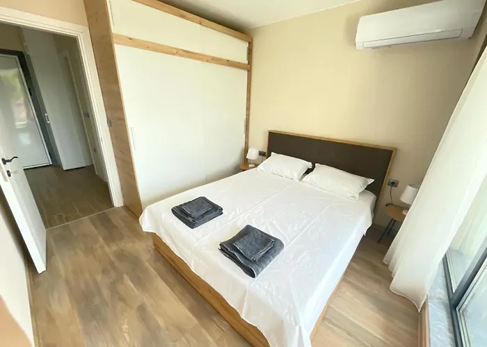 公寓 Modern 1br Free Parking With Hill View 普罗夫迪夫